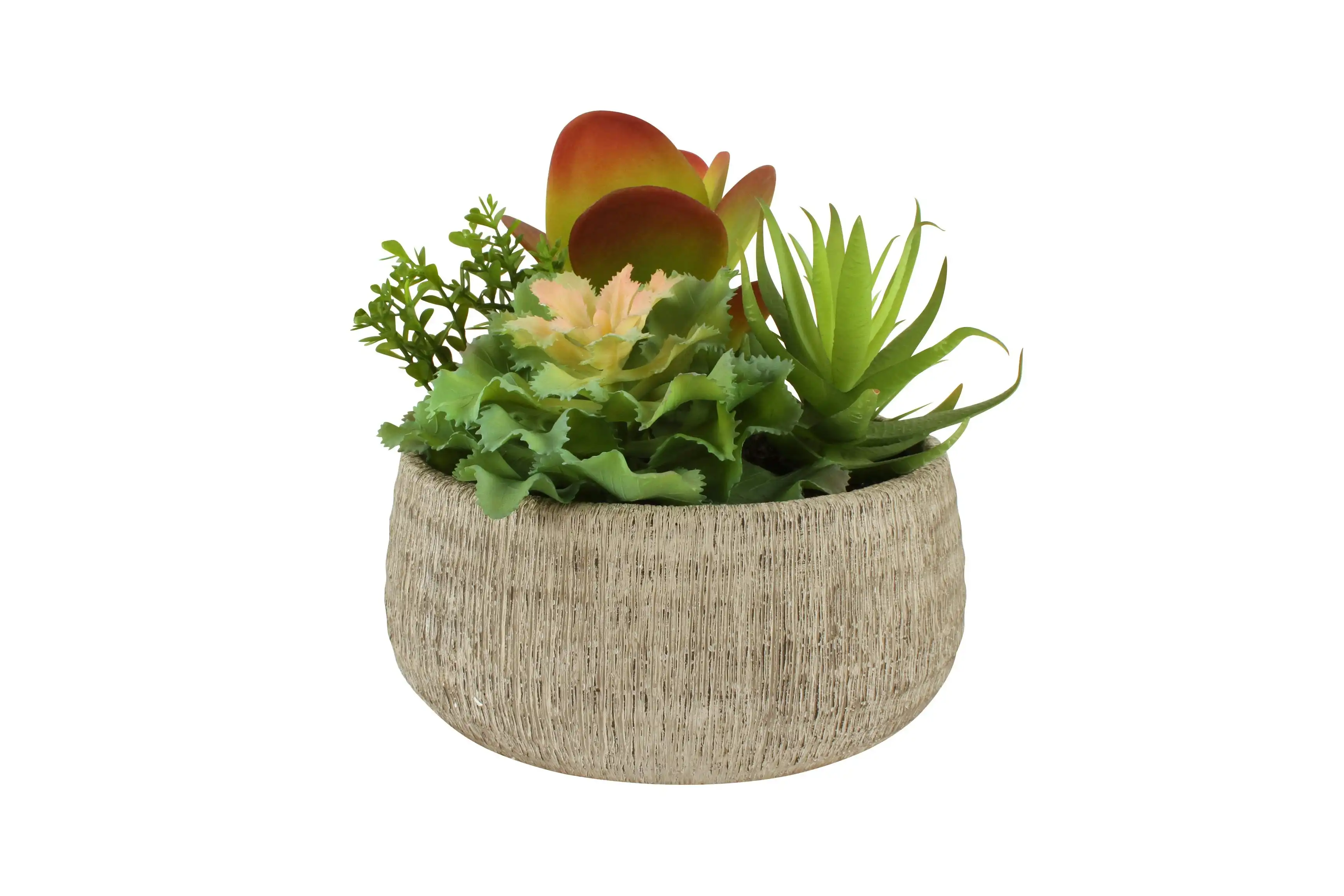 Succulent Arrangement In Cement Pot 19 x 18 x 9cm