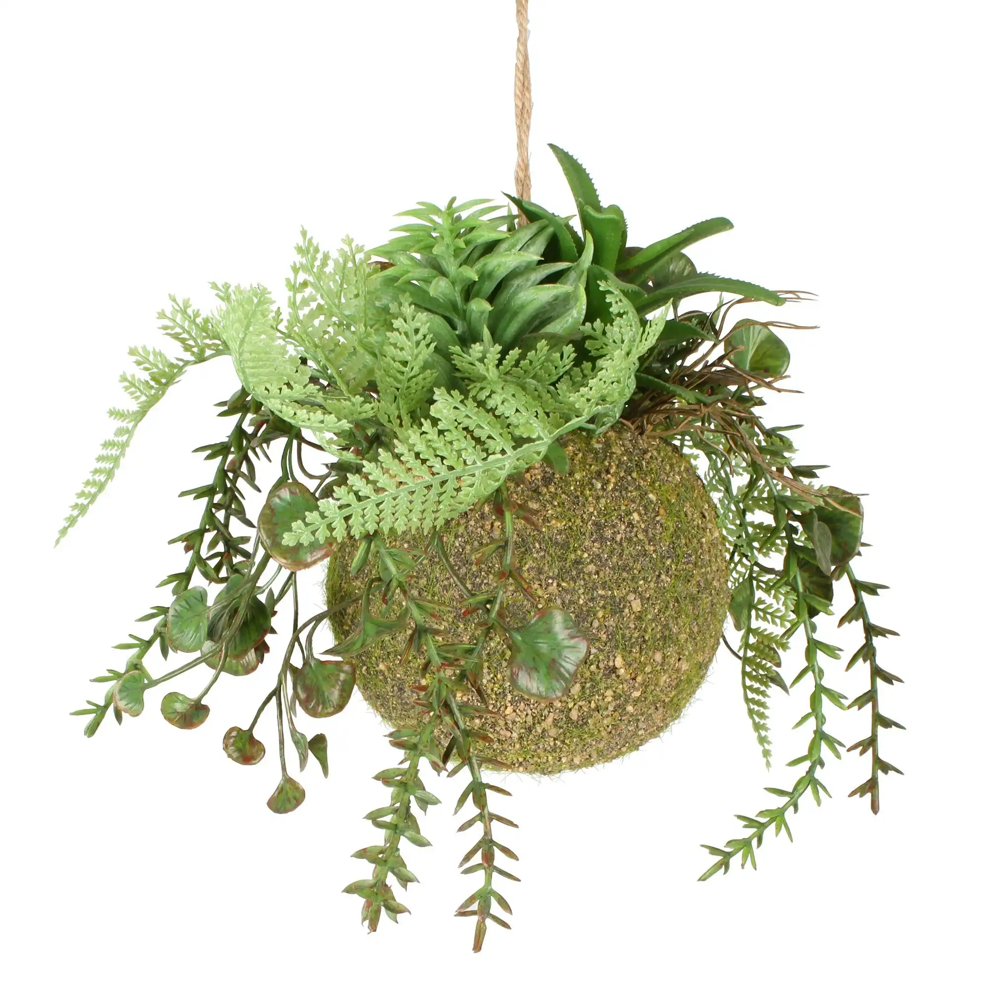 Moana Kokedama Mixed Hanging 17cm