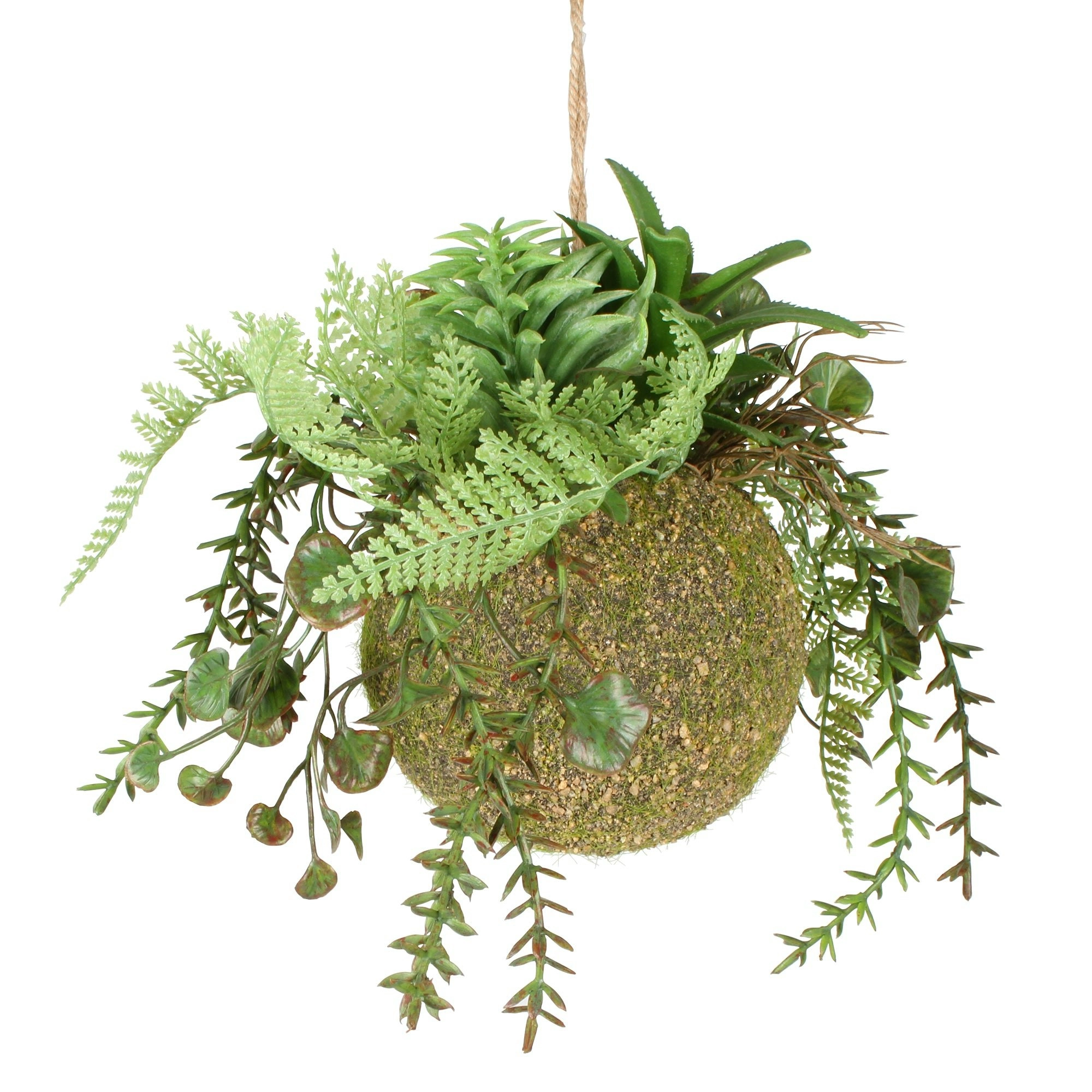 Moana Kokedama Mixed Hanging Fern 17cm