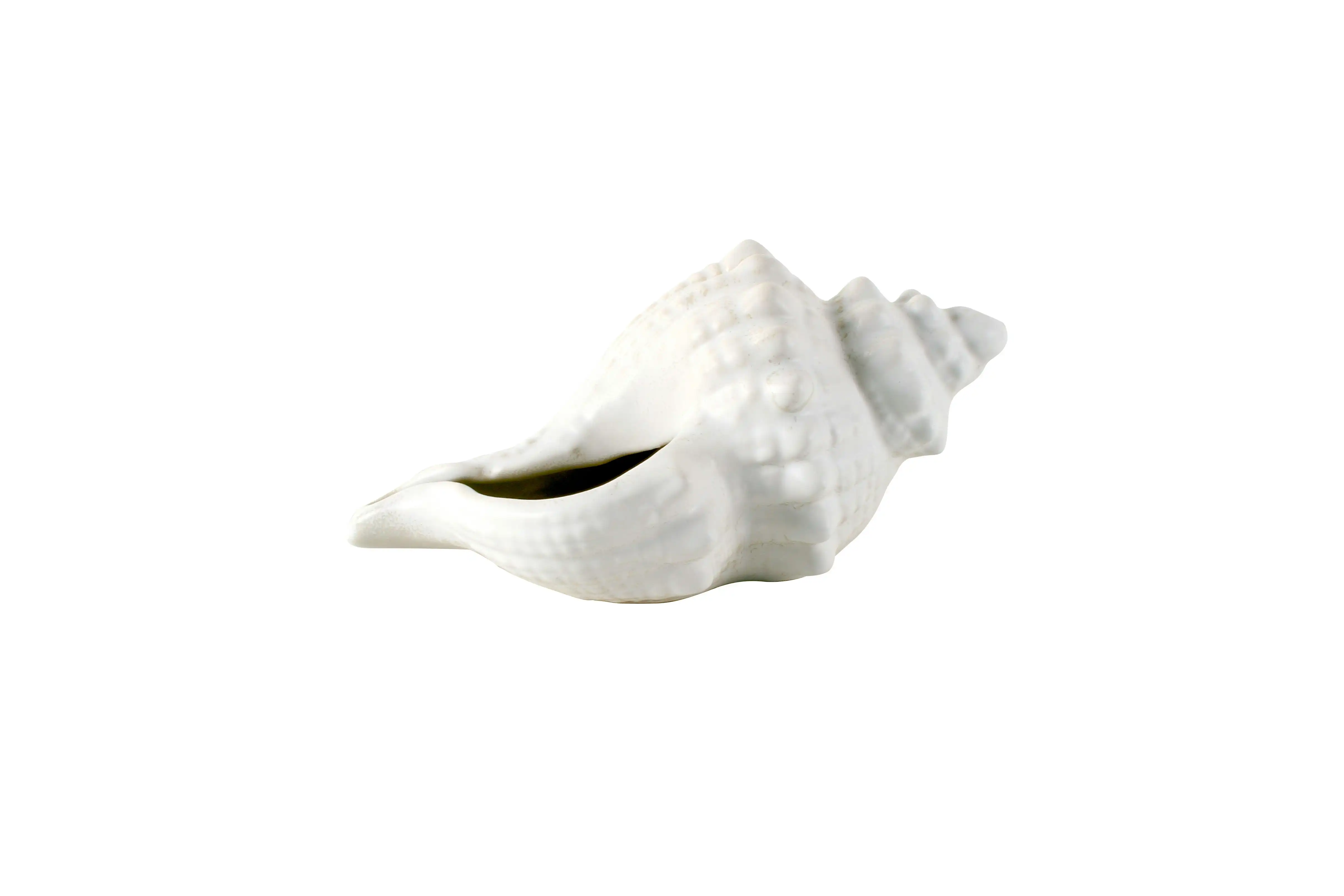 Danea Shell Decor Planter 25 x 14 x 12 cm