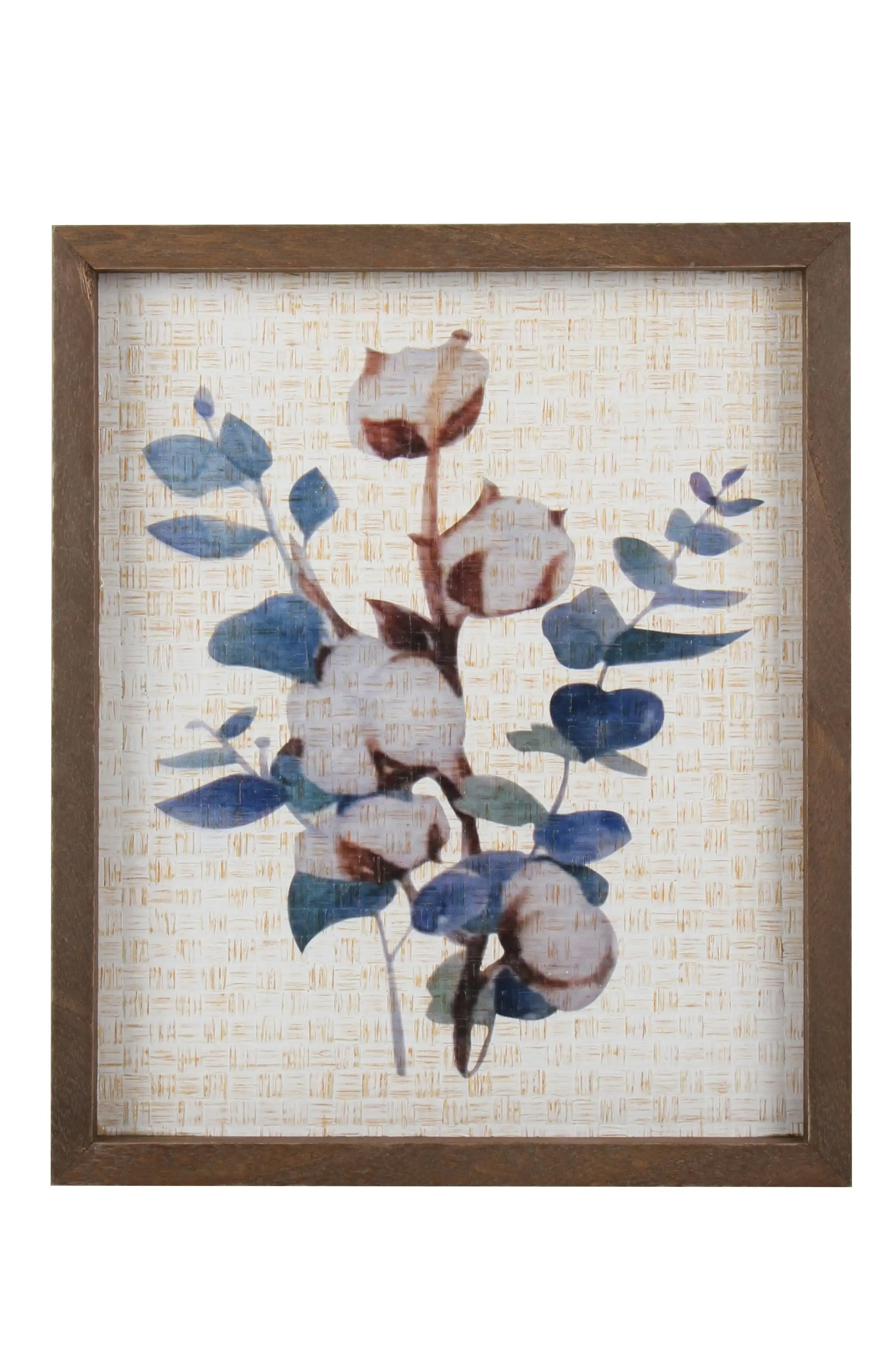 Delilah Collection Cotton Eucalyptus Frame 30 x 25 x 3cm