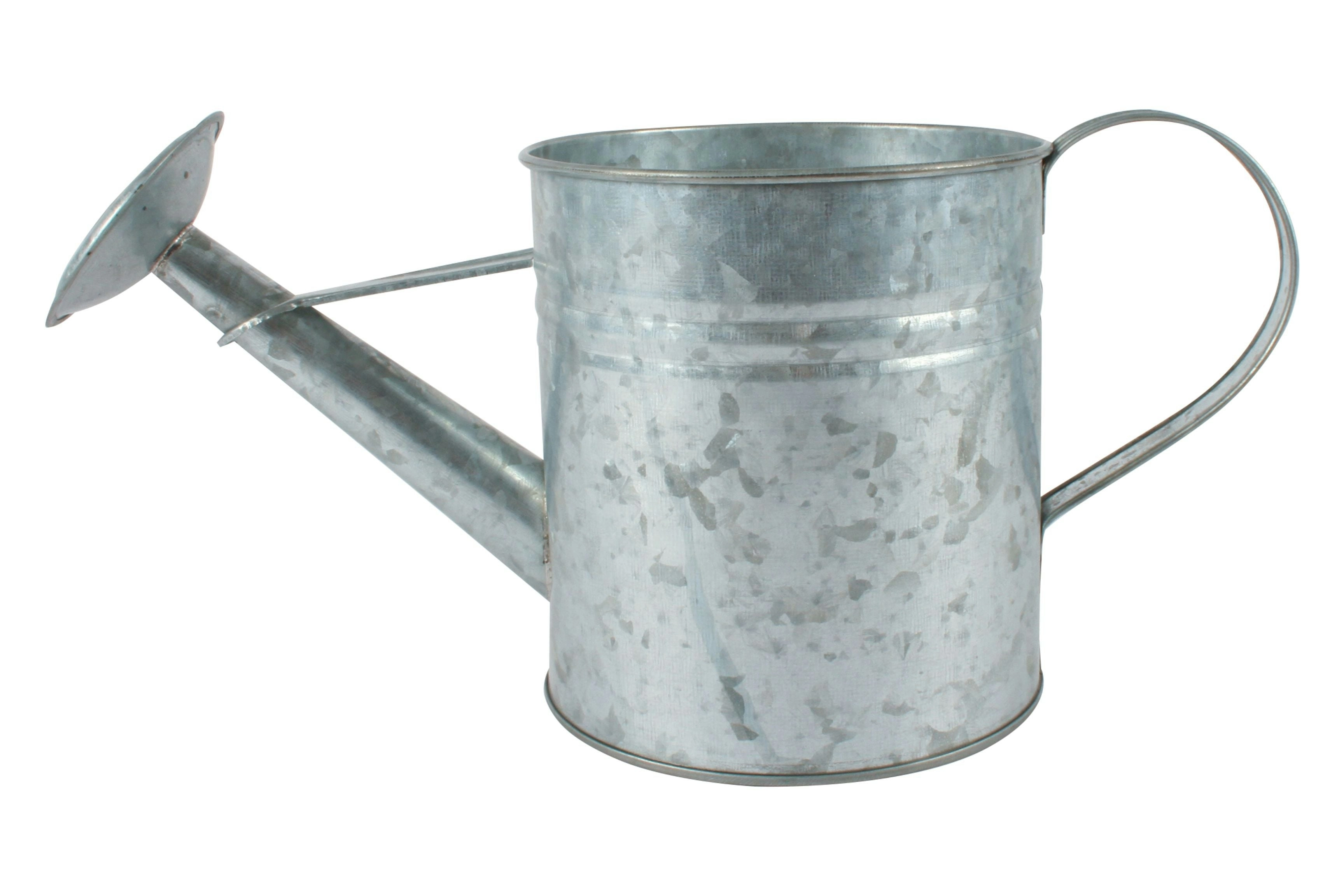 Antiqued Silver Watering Can Planter 16 x 15 cm