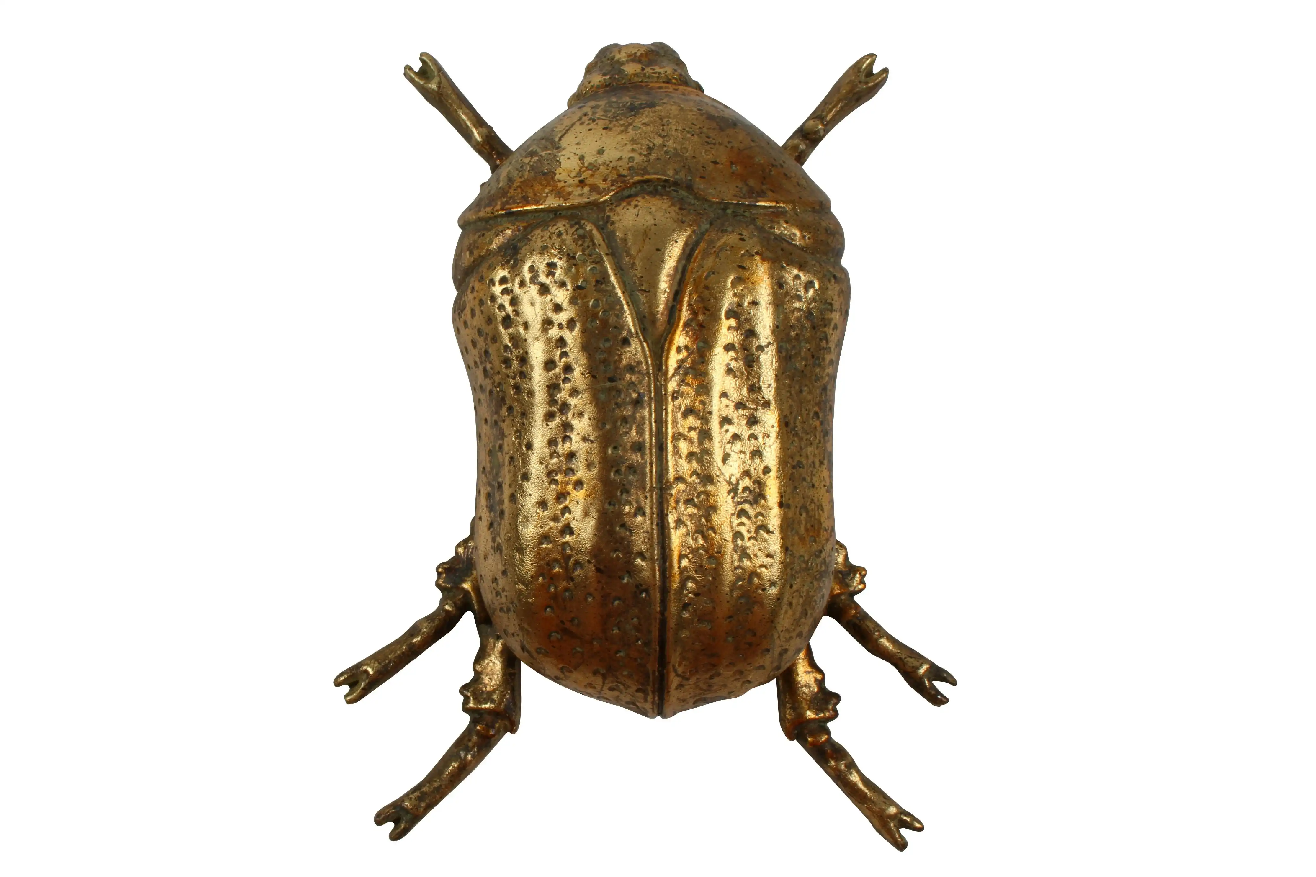 Jay Beetle Resin