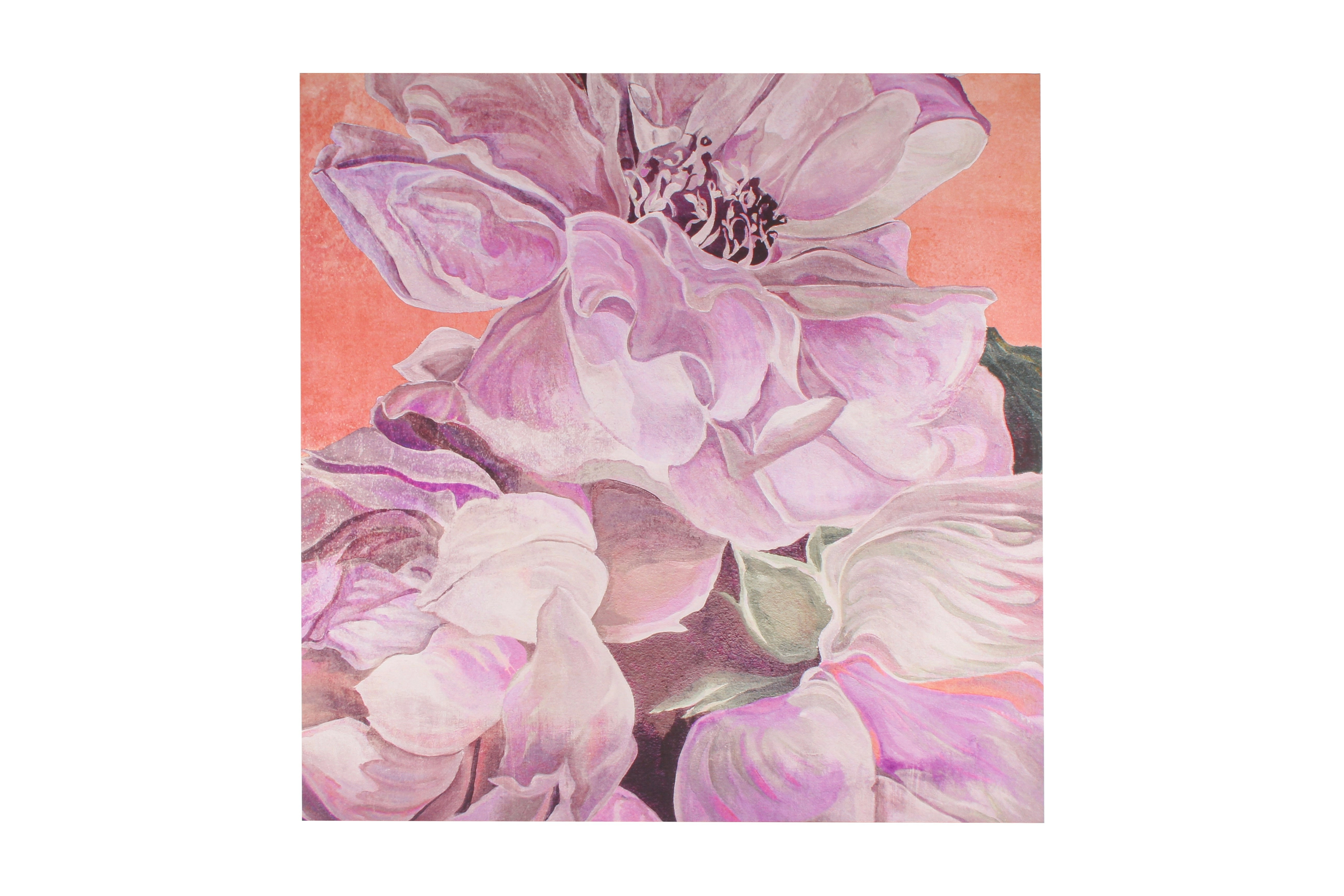 Violet Peony Print Canvas 100 x 100cm