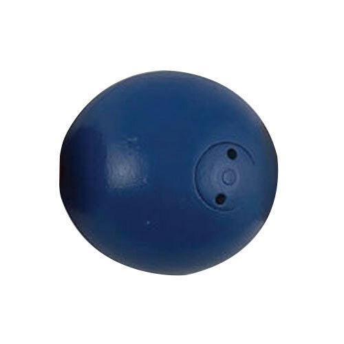 Regent 2kg Shot Puts Round Track & Field Sports Practice/Training Equipment