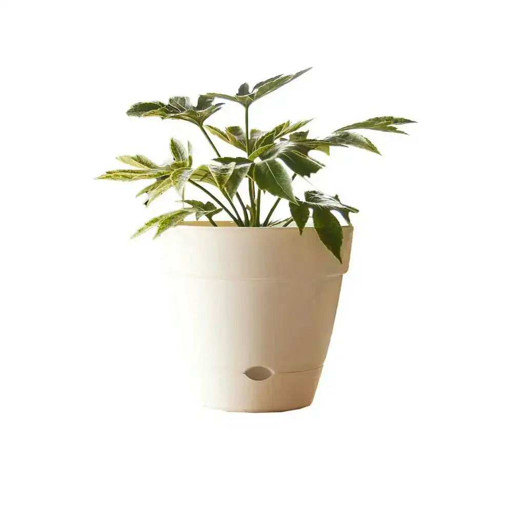 Northcote Pottery Leonard 38x34cm Self Watering Plant Pot Garden Decor White