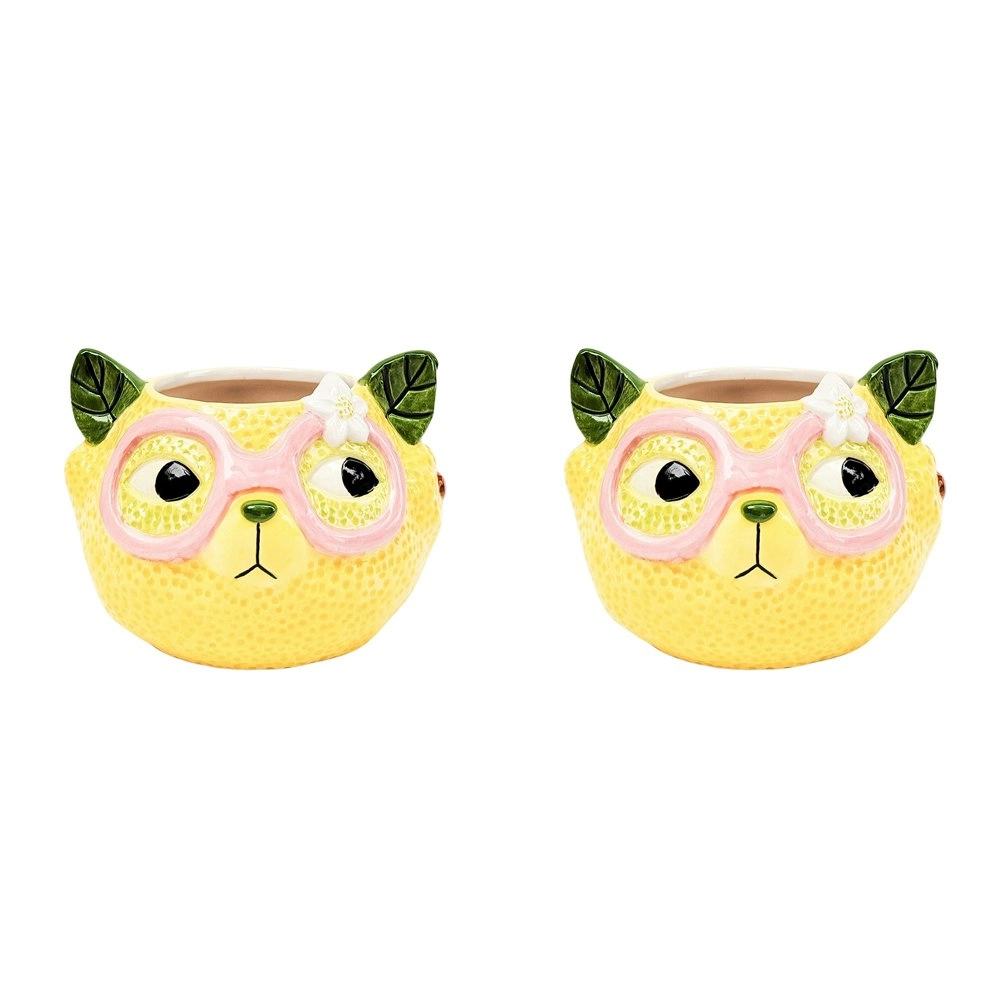 2x Urban Products Tropicana Cat Lemon Themed Planter Garden Decor Yellow 9cm