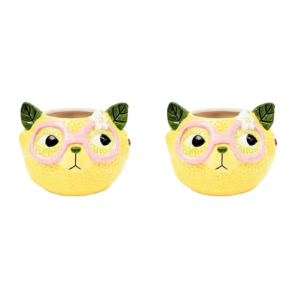 2x Urban Products Tropicana Cat Lemon Themed Planter Garden Decor Yellow 9cm