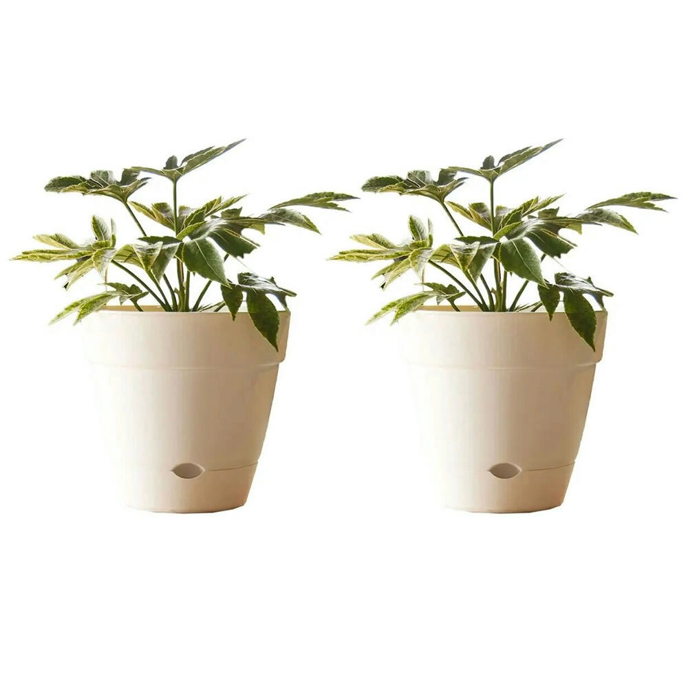 2x Northcote Pottery Leonard 25x23cm Self Watering Plant Pot Garden Decor White