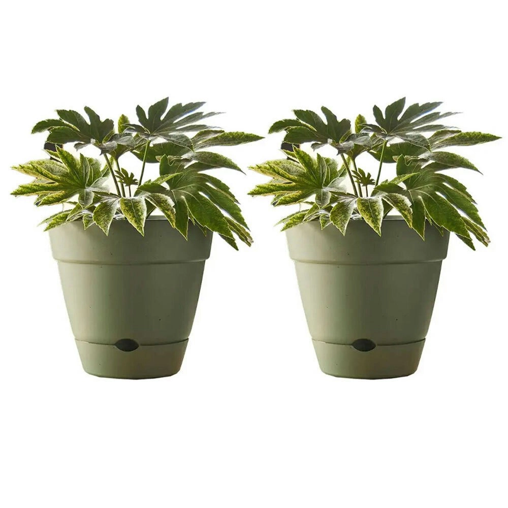 2x Northcote Pottery Leonard 31x27cm Self Watering Plant Pot Garden Decor Green