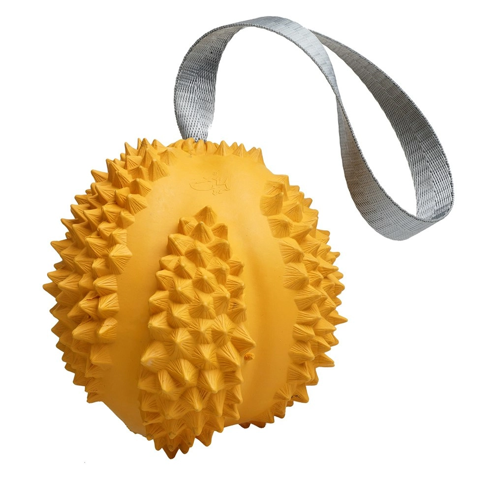 Petopia Ultra Tough 9cm Rubber Durable Durian Dog Toy Chew Treat Medium Assorted