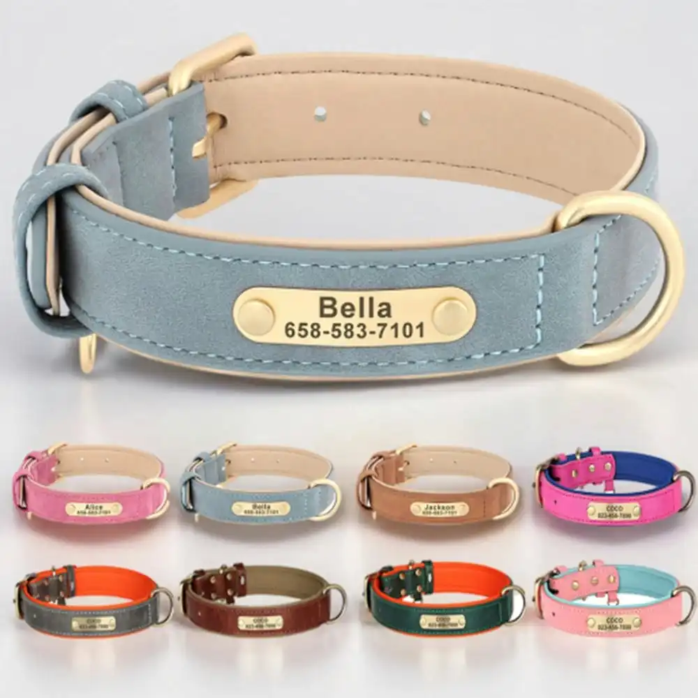 Artiste Personalised Dog Collar