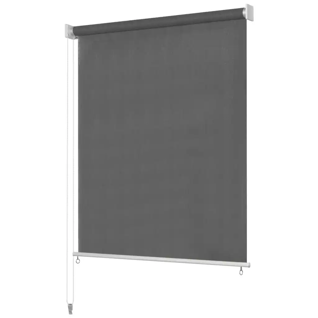 Outdoor Roller Blind 220x140 cm Anthracite 43488