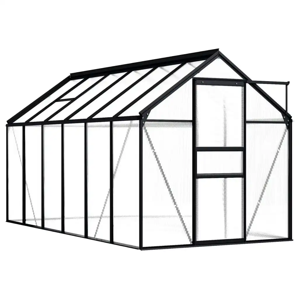 Greenhouse Anthracite Aluminium 7.03 mÂ² 48212