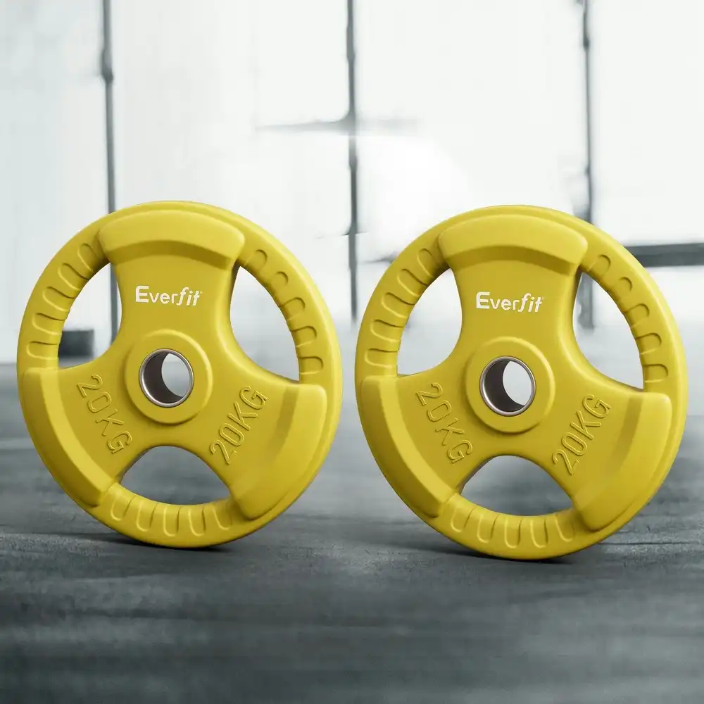 Everfit Weight Plates Standard 20kgx2 Dumbbell Barbell Plate Weight Lifting Home Gym Yellow