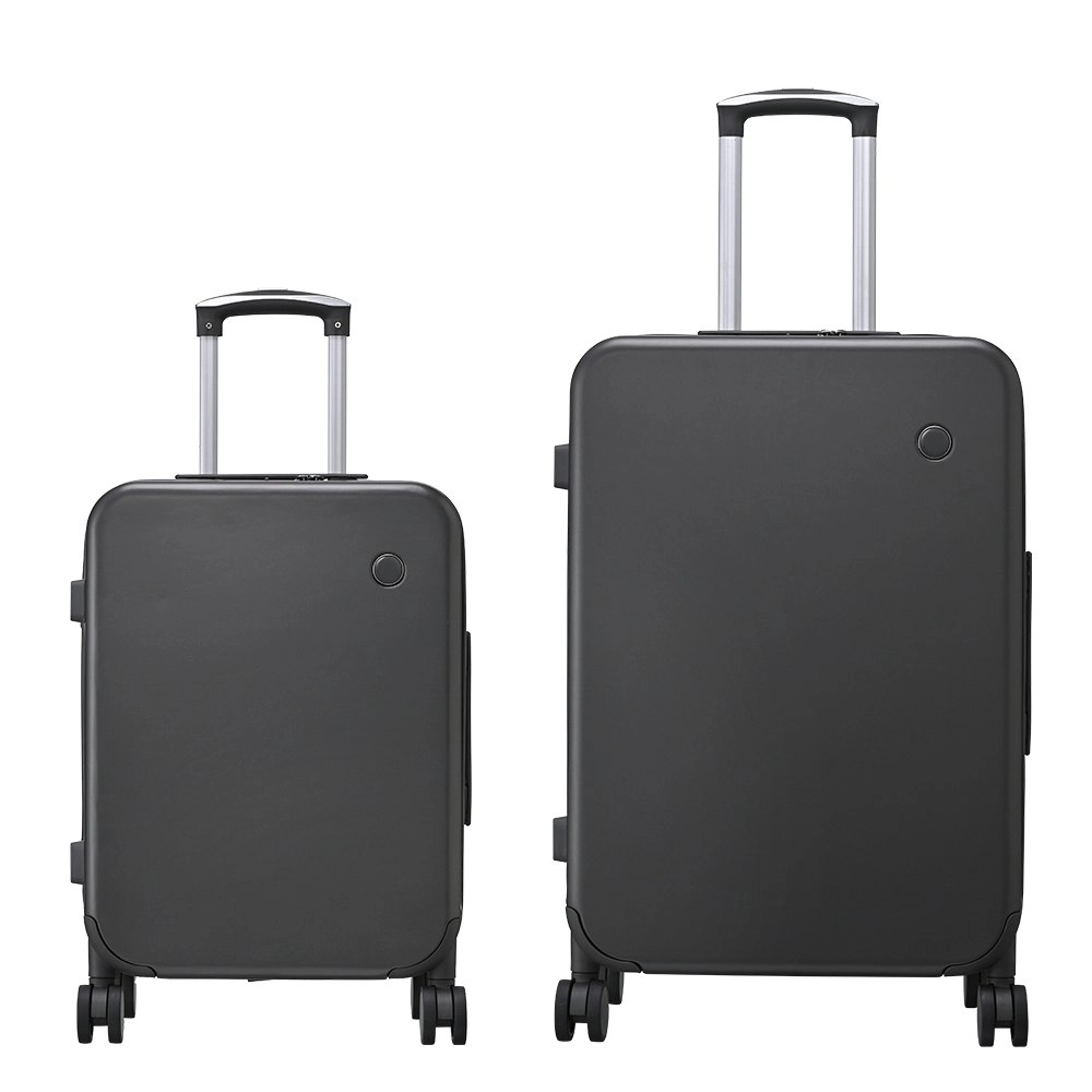 Tabibito Luggage Set Hard Shell ABS Suitcase Spinner Wheels TSA Lock 20"24" Grey