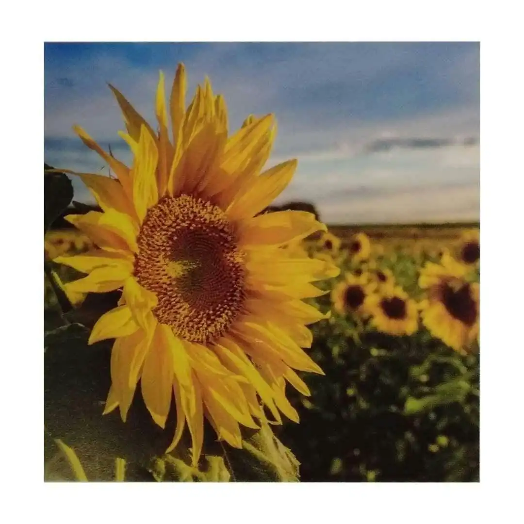 Diamond Art Kit - Sunflower