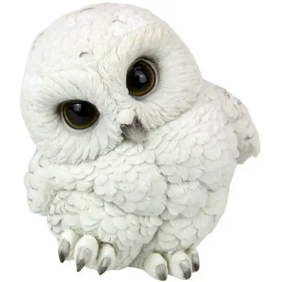 Cute White Owl