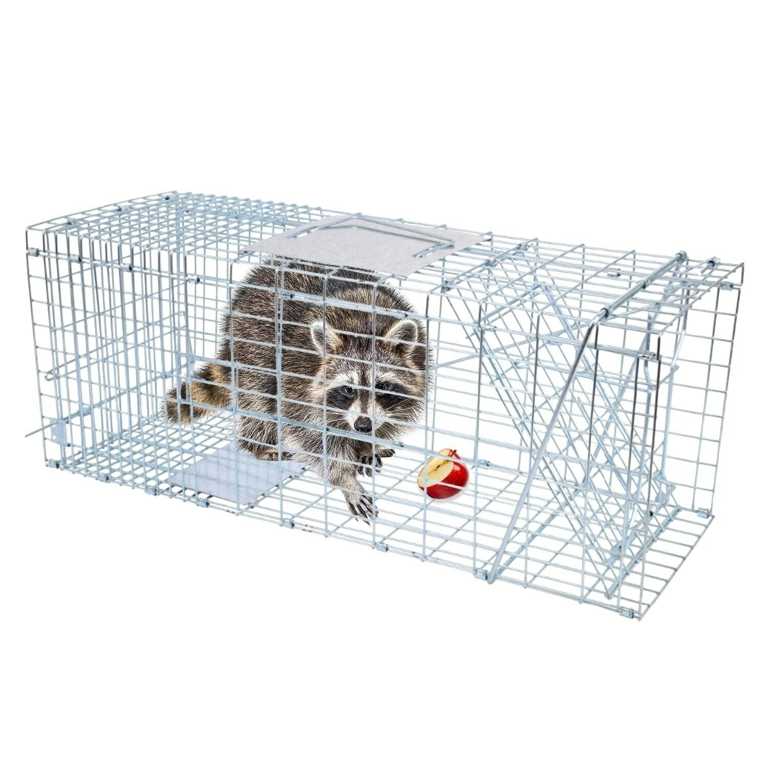 Noveden Folding Humane Live Catch Possum Fox Koala Rabbit Bird Cat Animal Trap Cage