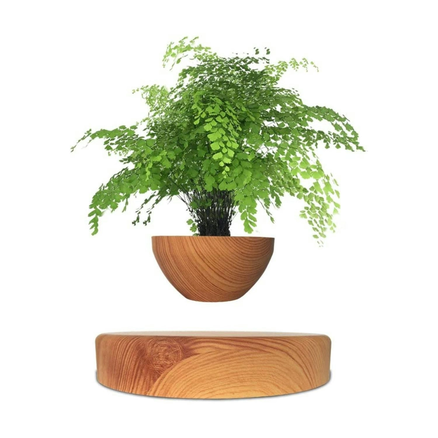 Gominimo Magnetic Levitating Floating Small Succulent Plant Pot Home Decor Oak