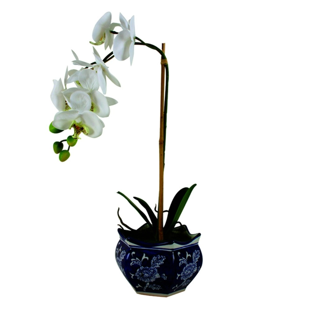 Maine & Crawford Hema 52cm Ginger Jar Ceramic w/ Potted Orchid Home Decor Indigo