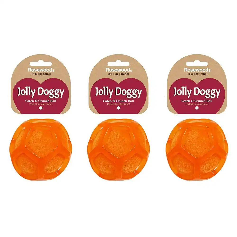 3x Rosewood Jolly Doggy Catch & Crunch Ball Pet Dog Chew Fun Playing Toy Orange