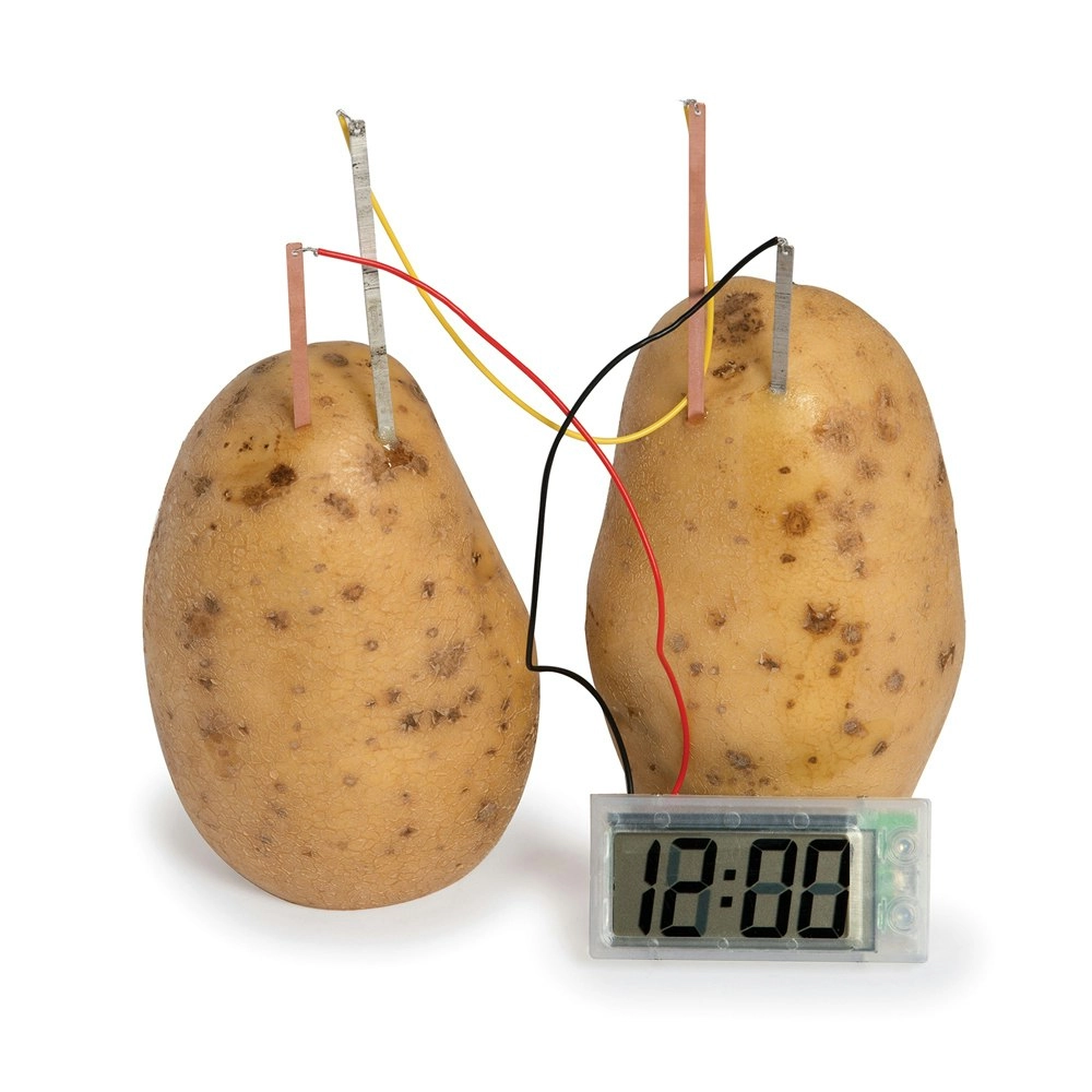 Funtime 27cm Potato Clock Science Kids/Children Learning Educational Toy 10y+