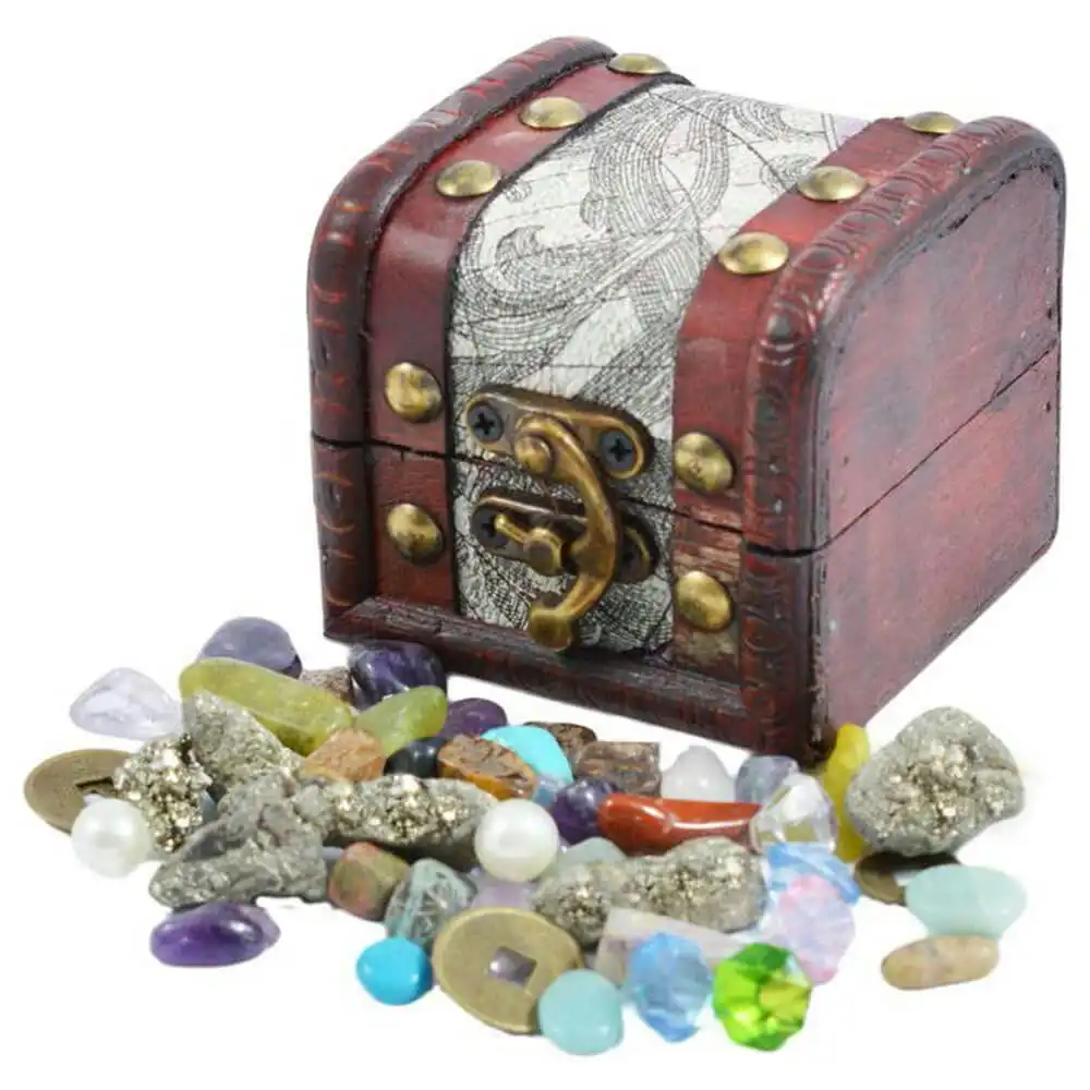 British Fossils Treasure Chest Pack