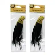 [2Pk X 3Pce] Krafters Korner Metallic Feather - Black/Gold (20m)