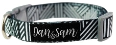 Dan & Sam  Adjustable Polyester Webbing Collar  Abstract