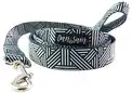 Dan & Sam  Polyester Webbing Lead  Abstract