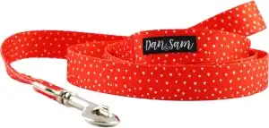 Dan & Sam  Polyester Webbing Lead  Raining Hearts