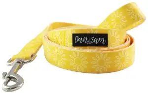 Dan & Sam  Polyester Webbing Lead  Sunflower