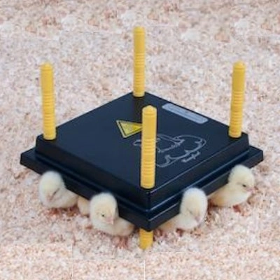 Brooder Chickplate Poultry Duck Quail Heating Plates