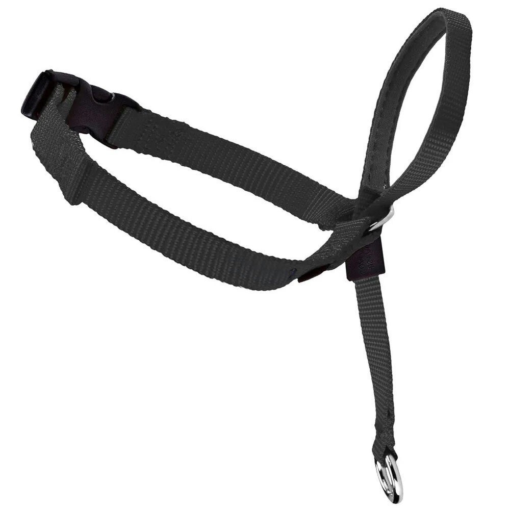 Gentle Leader 5-10kgs Dog Head Collar S Black Dog/Pet/Puppy Training Harness