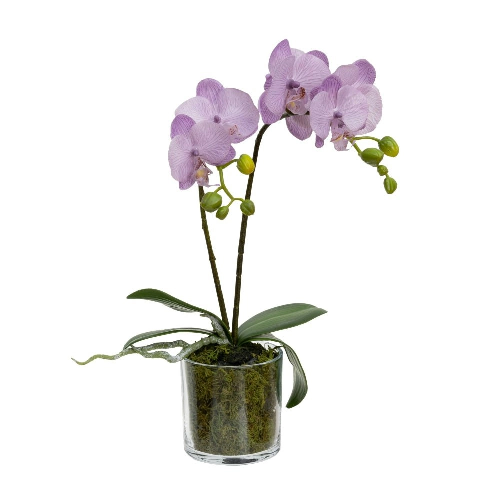 Glamorous Fusion Lavender Orchid Artificial Fake Plant Decorative Arrangement 40cm In Cylinder Glass