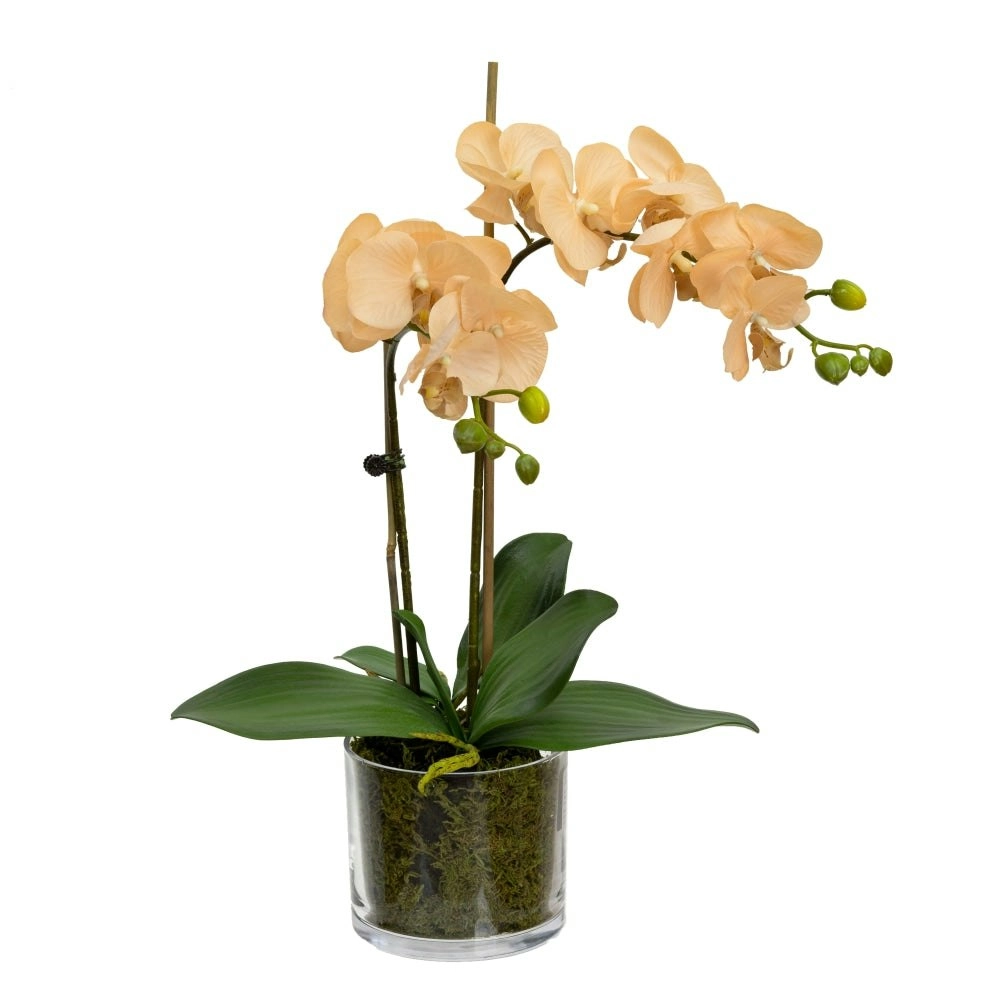 Glamorous Fusion Apricot Orchid Artificial Fake Plant Decorative Arrangement 45cm In Cylinder Glass