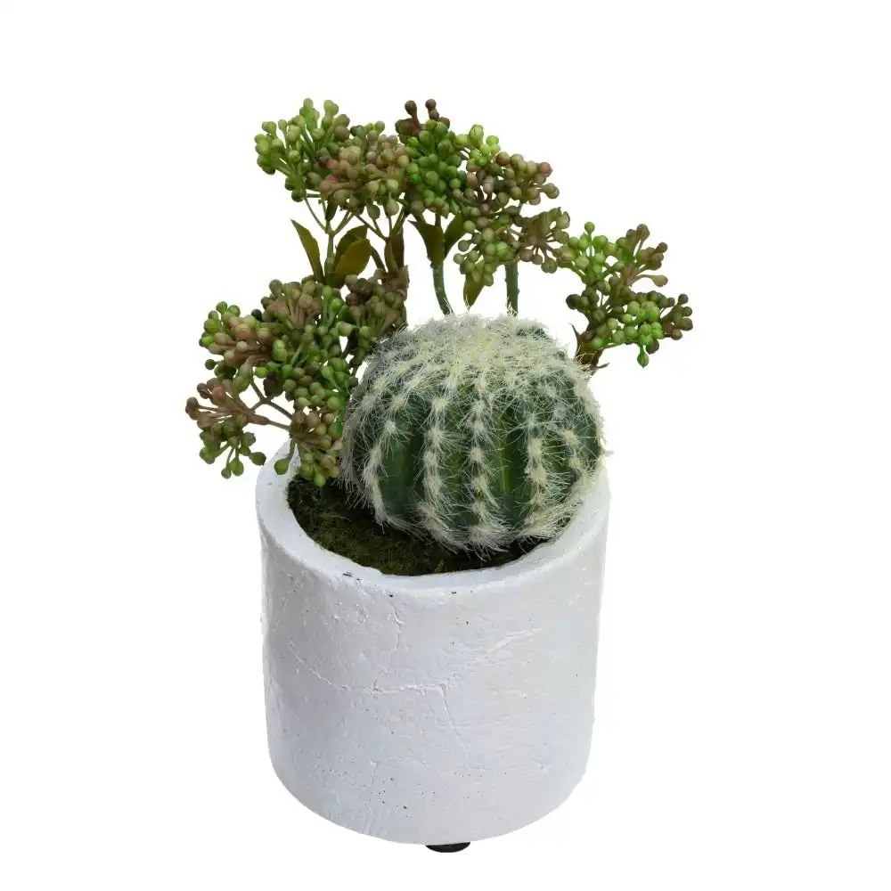 Glamorous Fusion Set Of 4 Assorted Succulent Artificial Fake Plant Decorative In Pot - Green