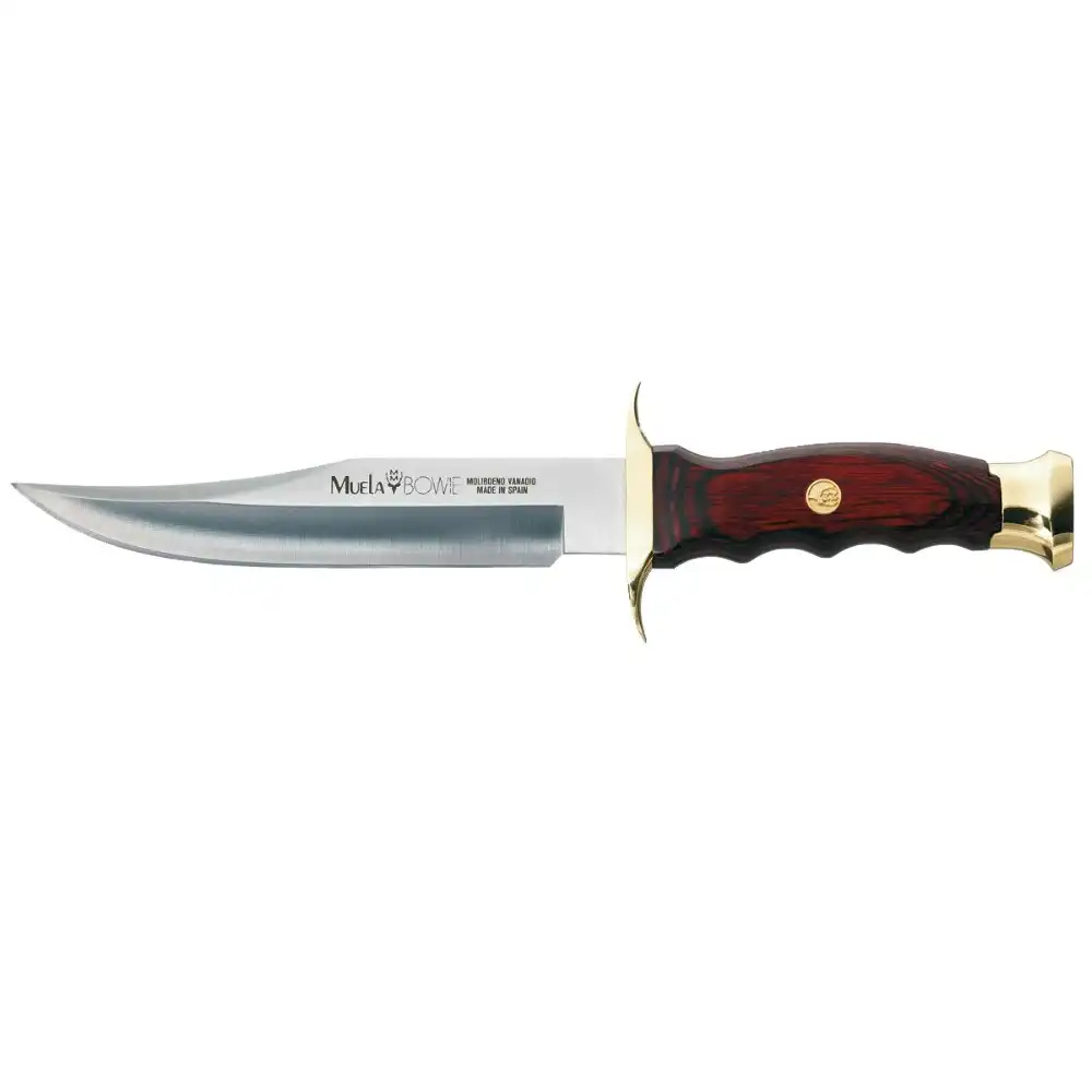 New Muela Bowie 16 Hunting Fishing Knife | Coral Wood Handle