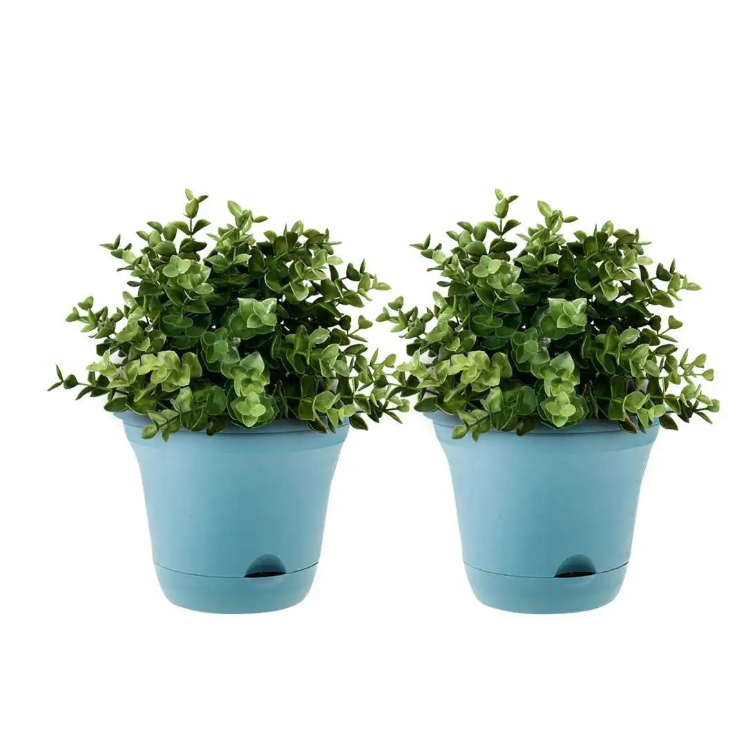 Soga 19.5cm Blue Plastic Plant Pot Self Watering Planter Flower Bonsai Indoor Outdoor Garden Decor Set of 2