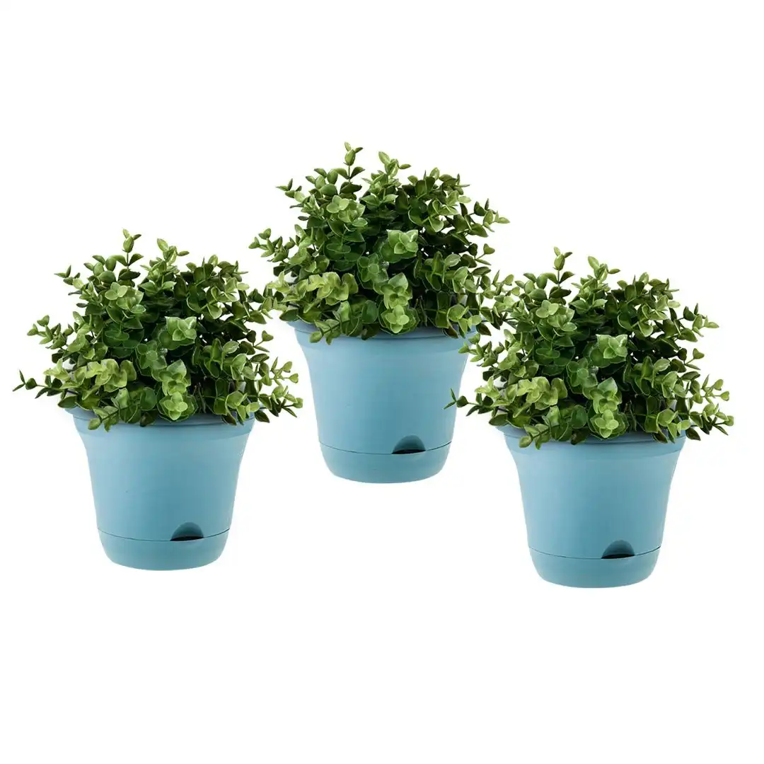 Soga 19.5cm Blue Plastic Plant Pot Self Watering Planter Flower Bonsai Indoor Outdoor Garden Decor Set of 3