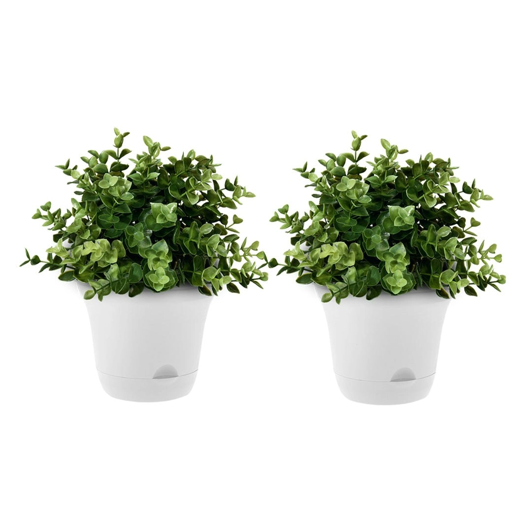 Soga 19.5cm White Plastic Plant Pot Self Watering Planter Flower Bonsai Indoor Outdoor Garden Decor Set of 2