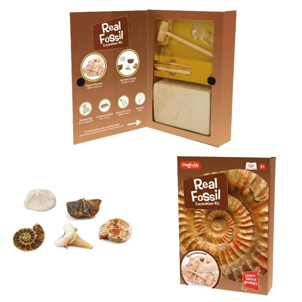 Magnoidz Fossil Dig Kit Kids/Children Educational Science Paleontology Toy 6y+