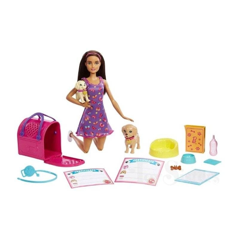 Barbie Pup Adoption Doll & Puppies Playset