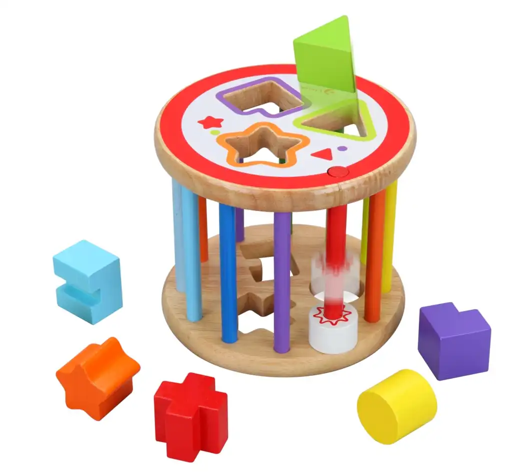 Classic World Shape Sorter (6 Blocks)