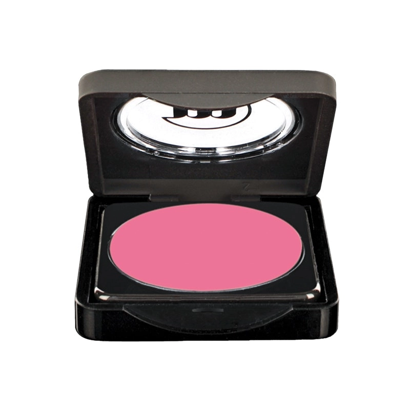 Make-up Studio Amsterdam Blusher 49