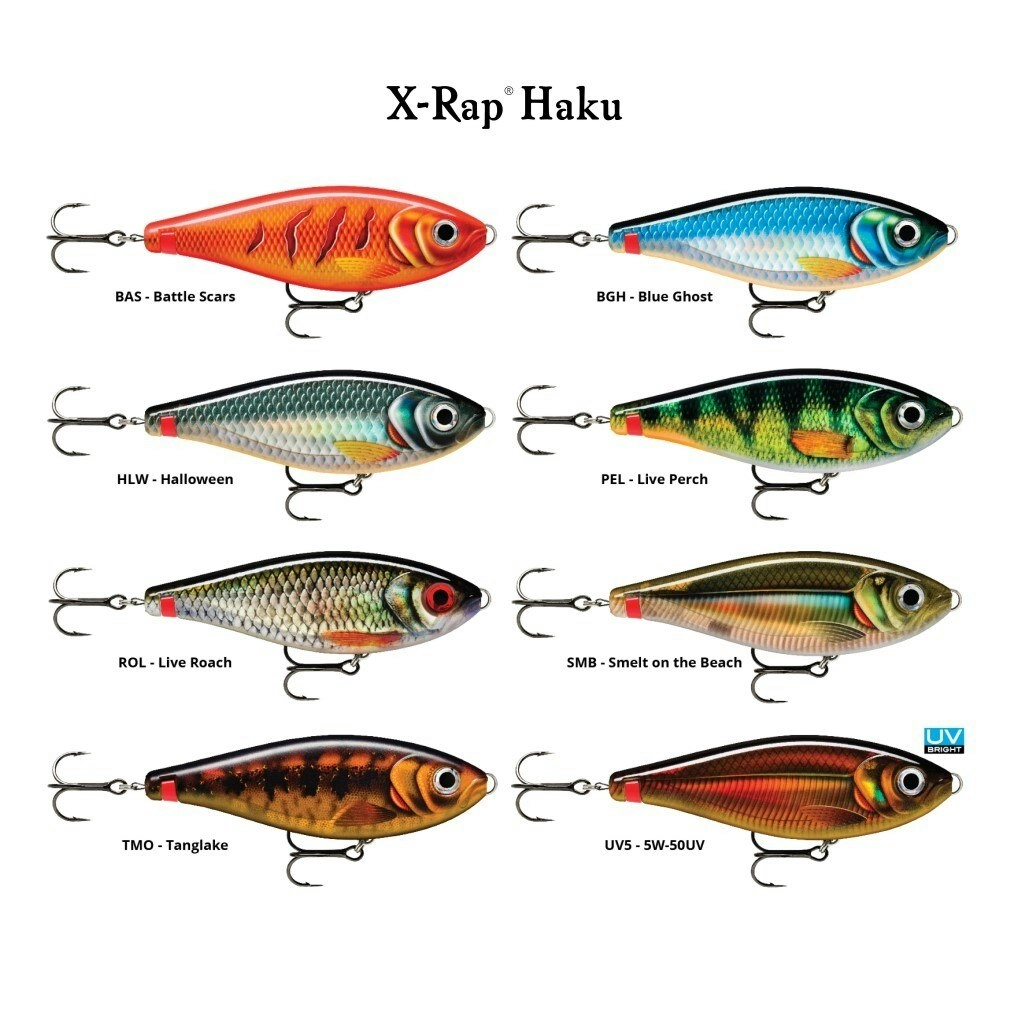 14cm Rapala X-Rap Haku Slow Sinking Glidebait Fishing Lure